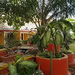 Hotel Royal